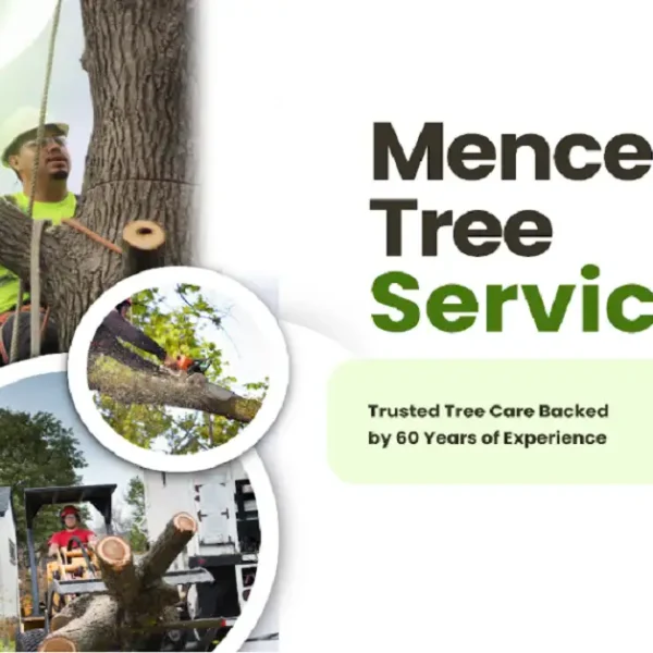 Mencer’s Tree Service: Trusted Tree Care Backed by 60 Years of Experience